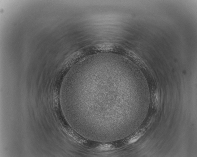 X0000066950609200603311444