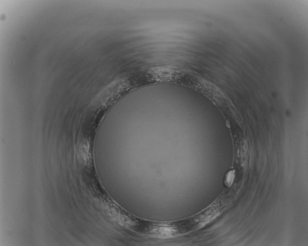 X0000066950610200603311444