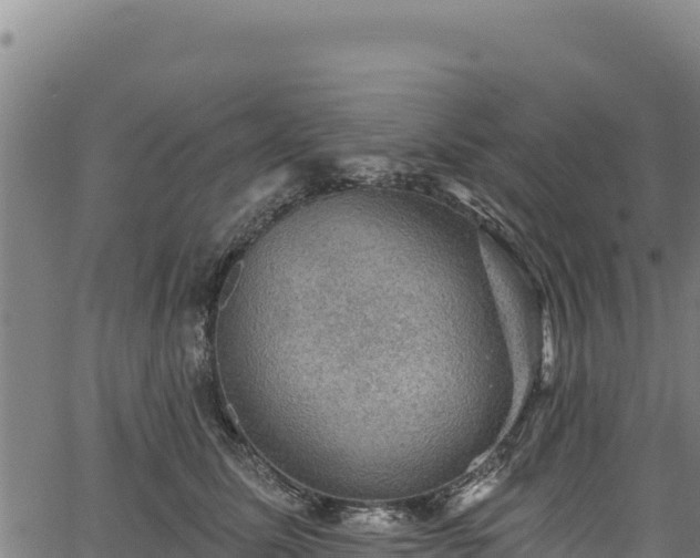 X0000066950611200603311444