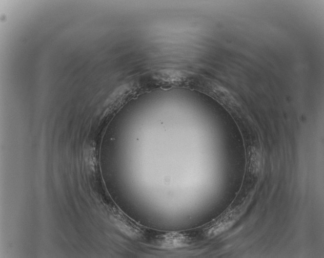 X0000066950612200603311444