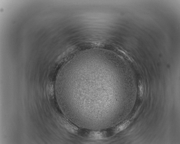 X0000066950613200603311444