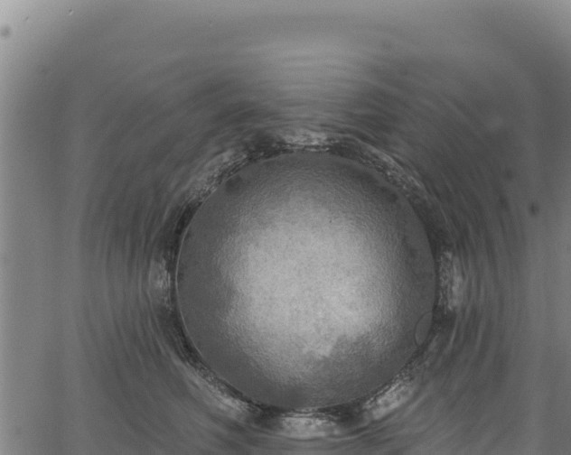 X0000066950614200603311444