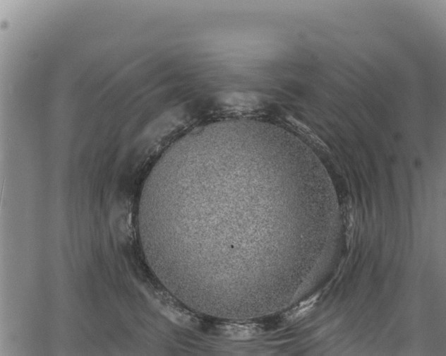 X0000066950615200603311444