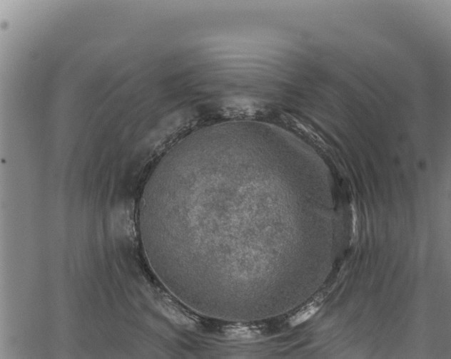 X0000066950616200603311444