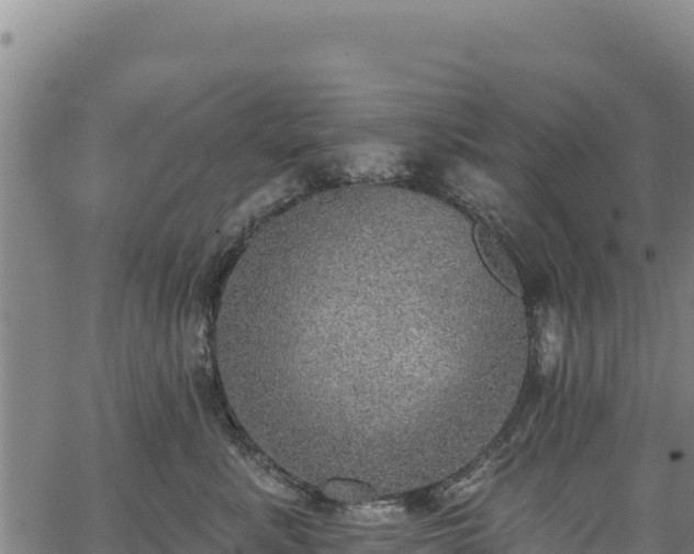 X0000066950619200603311444