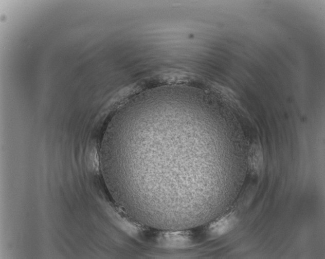 X0000066950622200603311444