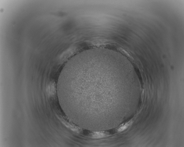 X0000066950623200603311444