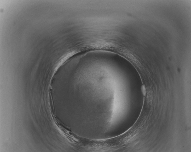 X0000066950626200603311443