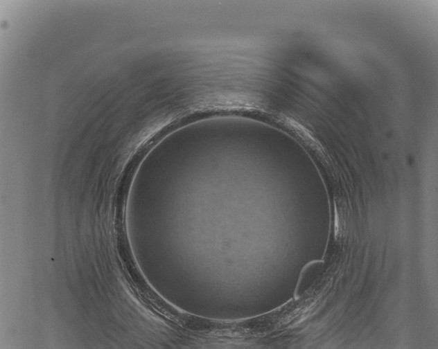 X0000066950627200603311443