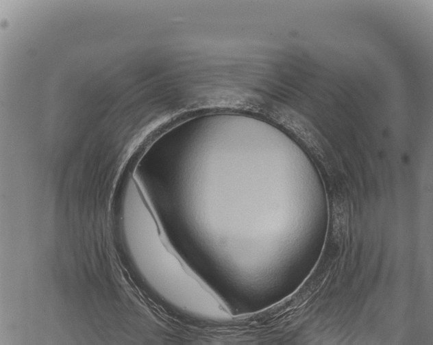 X0000066950628200603311443