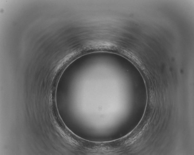 X0000066950629200603311443