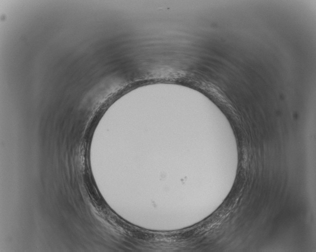 X0000066950632200603311443