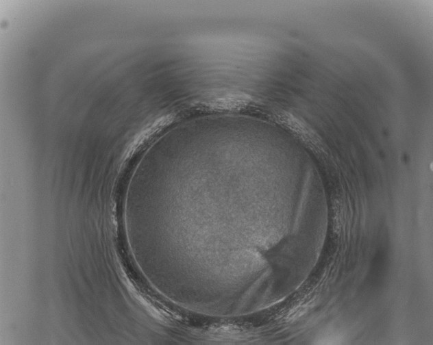 X0000066950634200603311443