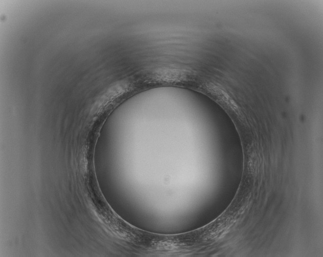 X0000066950635200603311443