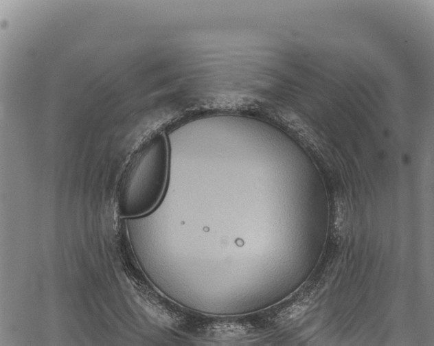 X0000066950636200603311443