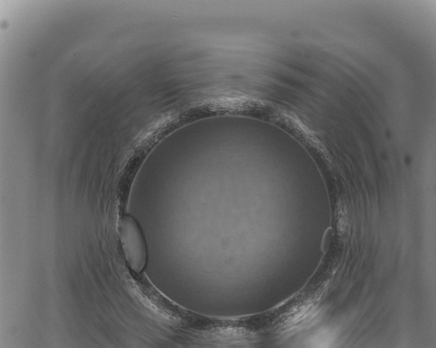 X0000066950637200603311443