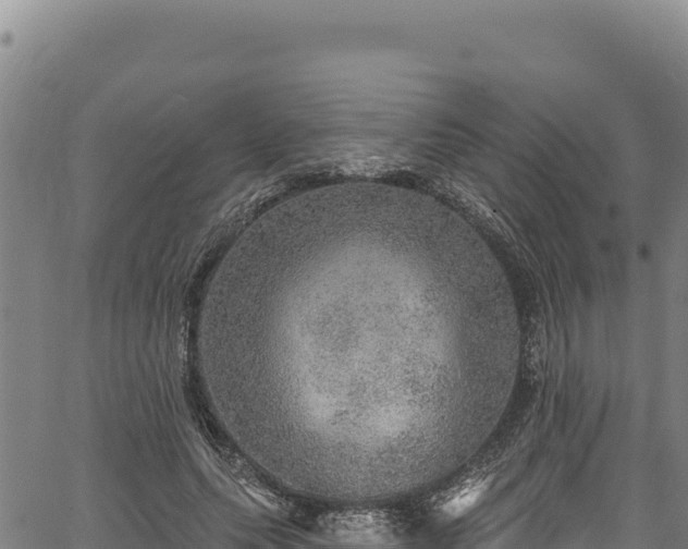 X0000066950639200603311443