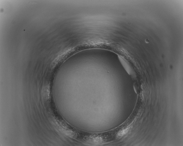 X0000066950640200603311443