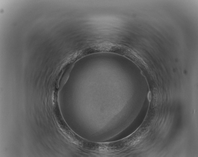 X0000066950641200603311443