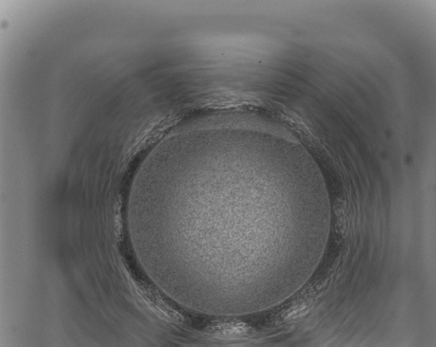 X0000066950642200603311443