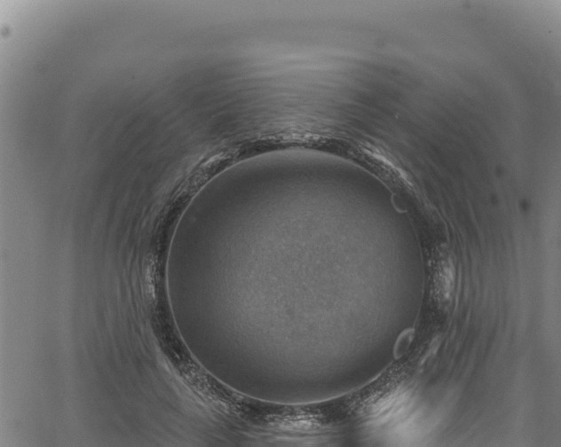 X0000066950643200603311443