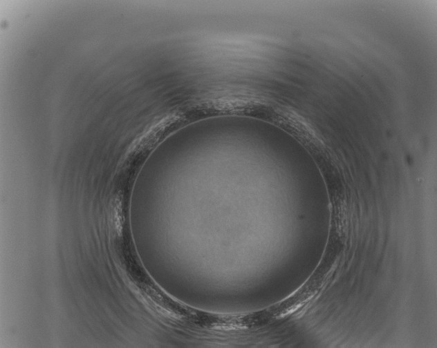 X0000066950644200603311443