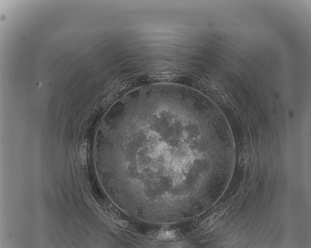 X0000066950647200603311443