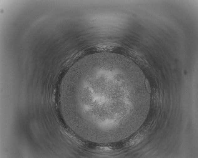 X0000066950649200603311443