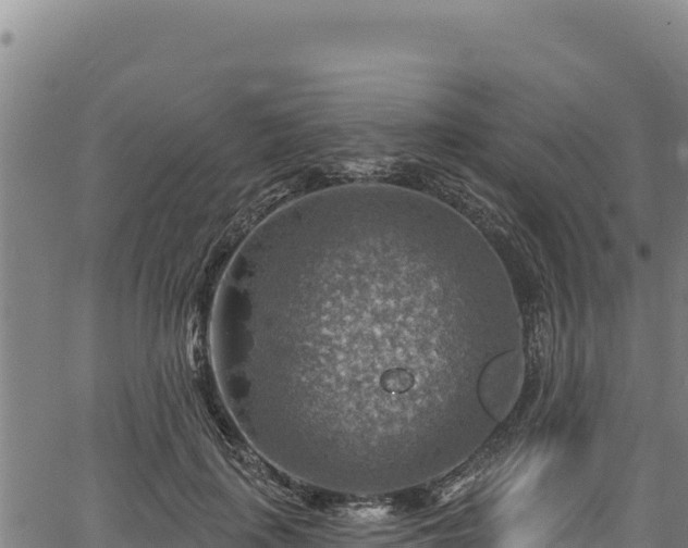 X0000066950651200603311443