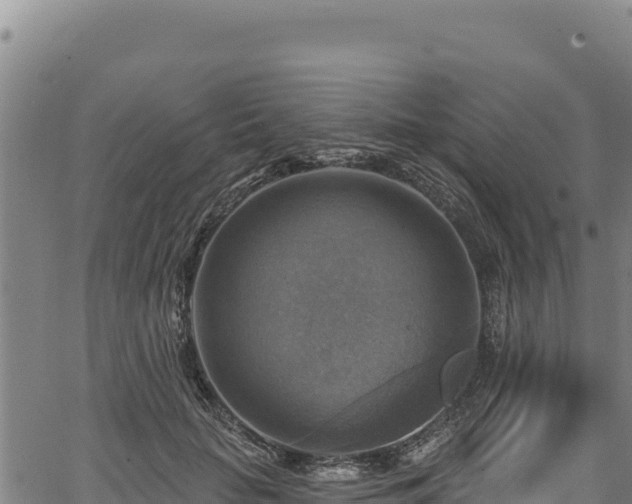 X0000066950653200603311443