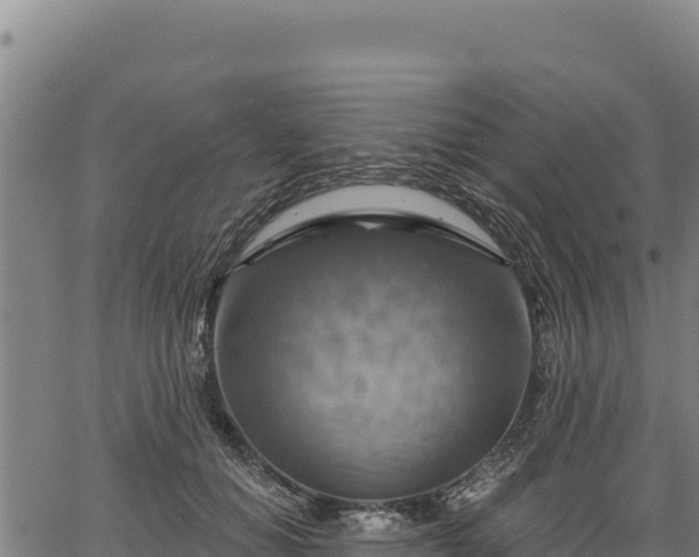 X0000066950654200603311443