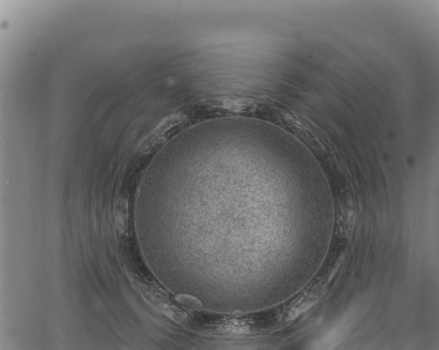 X0000066950656200603311443