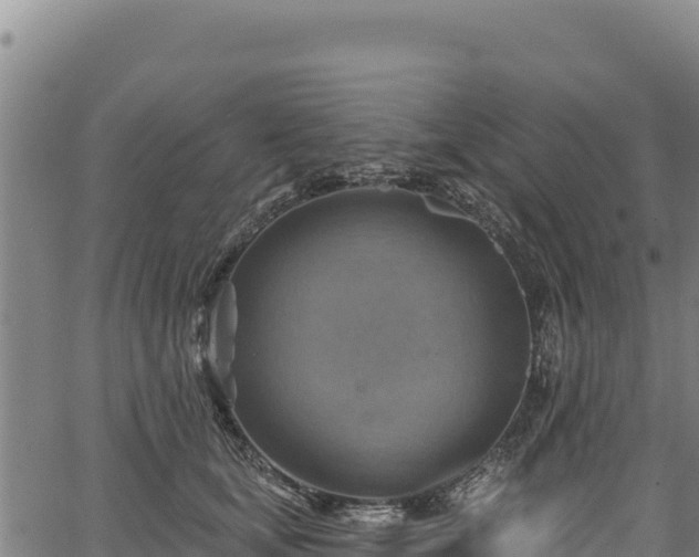 X0000066950659200603311443