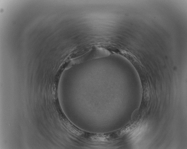 X0000066950661200603311443