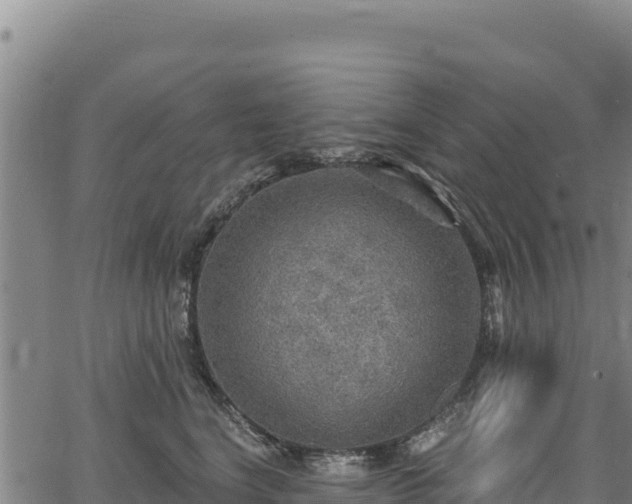 X0000066950664200603311443