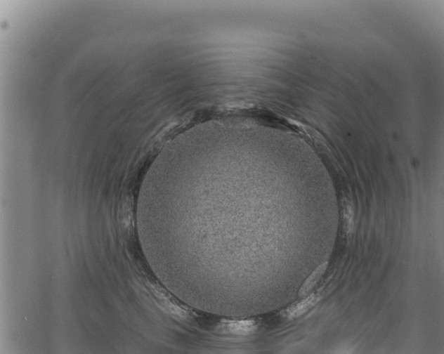 X0000066950665200603311443