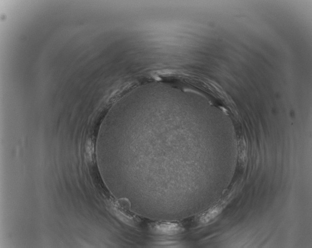 X0000066950669200603311444