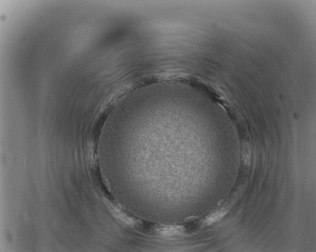 X0000066950670200603311444