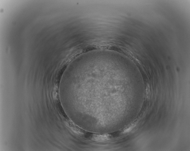 X0000066950671200603311444