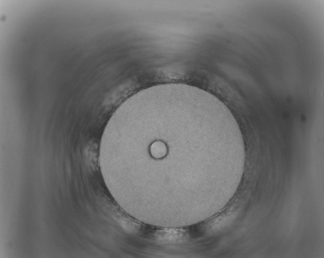 X0000066950672200603311444