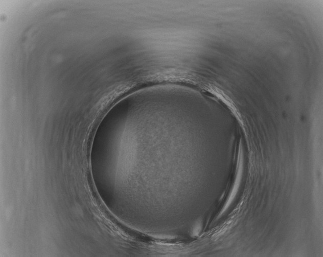 X0000066950673200603311443