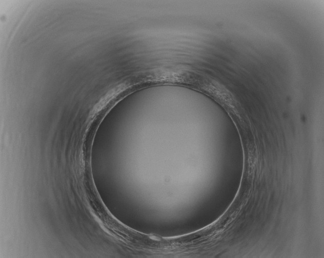 X0000066950674200603311443