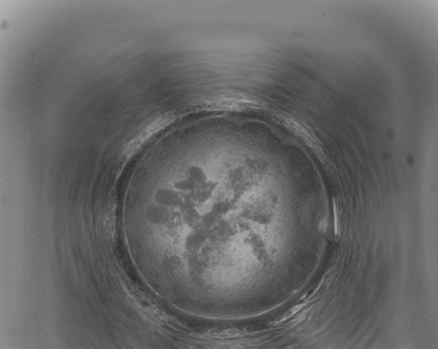 X0000066950675200603311443