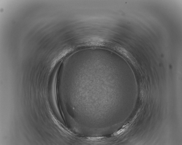 X0000066950677200603311443