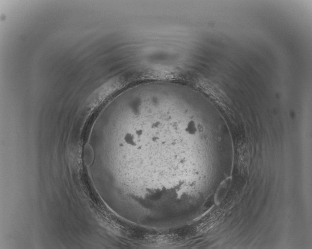 X0000066950679200603311443