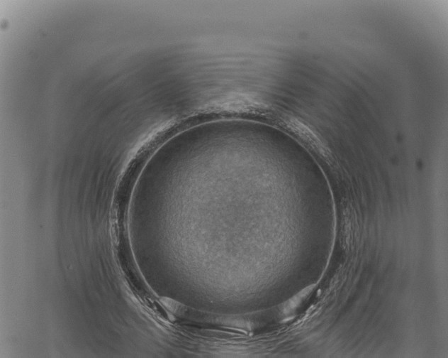 X0000066950680200603311443