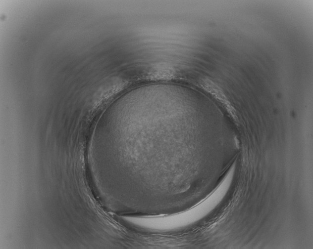 X0000066950681200603311443