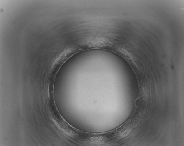 X0000066950686200603311443