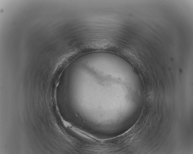 X0000066950688200603311443