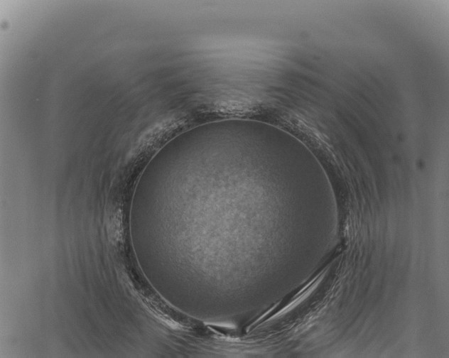 X0000066950689200603311443